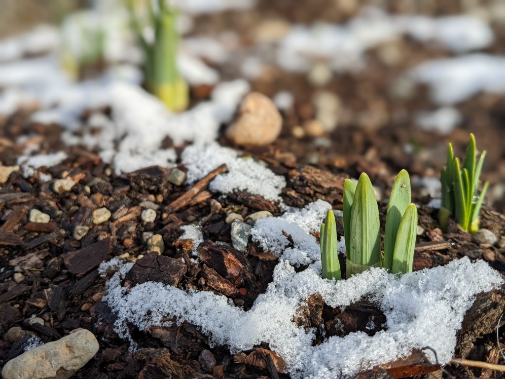 MARCH Acrostics & Simile Psalms&nbsp;34-35