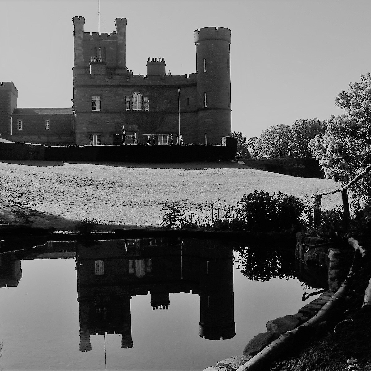 ROYAL PSALMS (Ps.&nbsp;44-45)