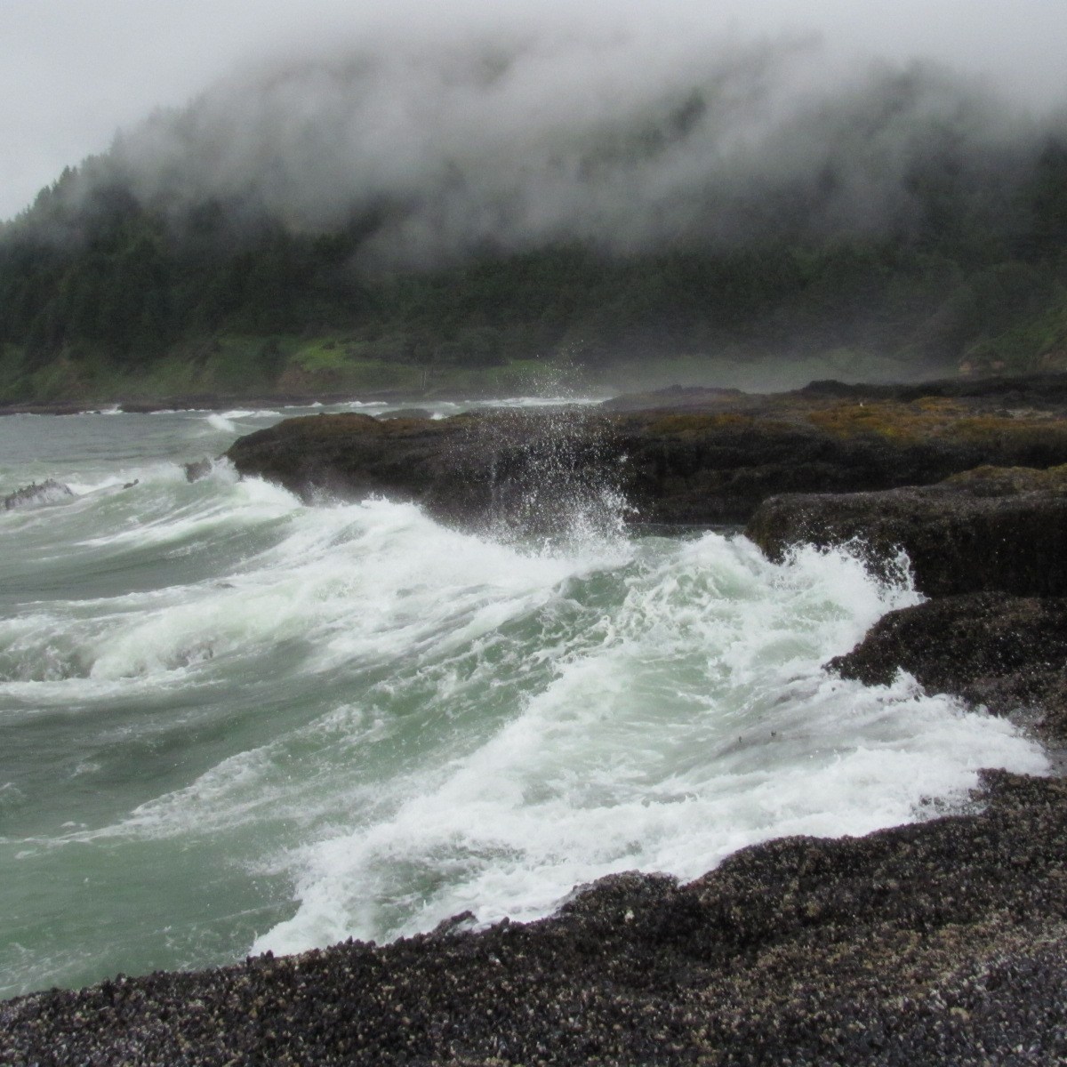 PENITENTIAL PSALMS (Ps.&nbsp;50-52)