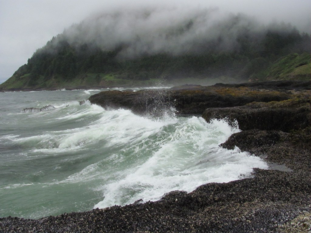 PENITENTIAL PSALMS (Ps.&nbsp;50-52)